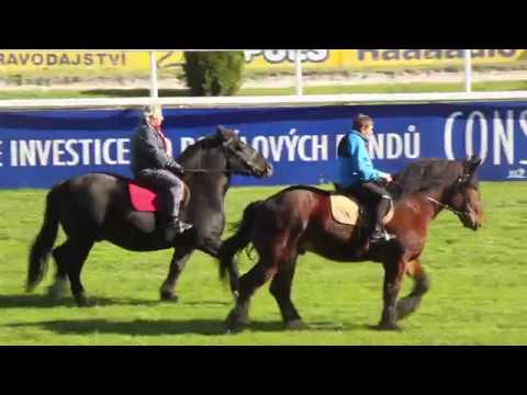 Dostihy Velká Chuchle