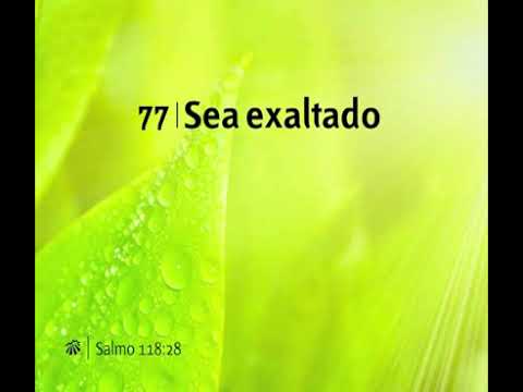 077 Sea Exaltado