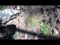 September Deer Hunt