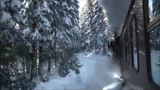 Mit Volldampf in die Berge - Wir sind die Gipfelstürmer