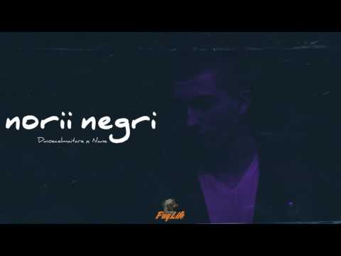 Dinoecelmaitare - Norii Negri feat. Nane (Audio)