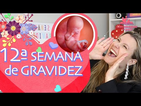 12ª SEMANA DE GESTAÇÃO | Tamanho do Feto, Barriga da Mãe, Sentir o Bebê | 1º TRIMESTRE DE GRAVIDEZ