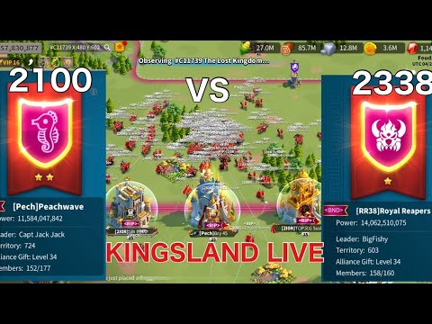 Kingsland Fight| FFA Kvk| KD2338 vs KD2100 vs KD1753