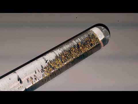 Goldwaschen am Rhein Teil 6