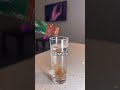 SPINE CHILLING tapeworm shot!
