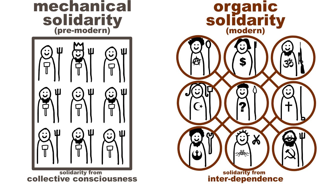 Durkheim's Mechanical and Organic Solidarity: what holds society together?