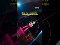 4 6 Juli Kosong Nggak Main Ke Squid Game 3 The Jump Rope Challenge Di Plaza Senayan Kuy