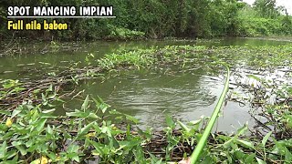 Download lagu Full nila babon..!! spot mancing impian semua para pemancing liar mp3