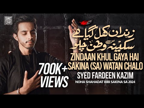 SAKINA WATAN CHALO | Syed Fardeen Kazim | New Nohay 2024 | Noha Bibi Sakina 2024 | 13 Safar Nohay