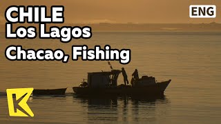 【K】Chile Travel-Los Lagos[칠레 여행-로스라고스]차카오 해협, 조개 낚시/Chacao, Fishing/Clam/Sea/Buzo