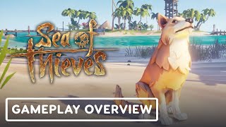 Немного подробностей грядущих обновлений Sea of Thieves от разработчиков