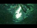 Made In Abyss The First Layer Extended