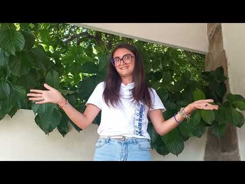 TeleValcasotto Speciale #3 - L’estate di Montaldo di Mondovì