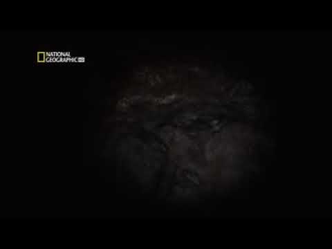 Down To The Earth s Core HD