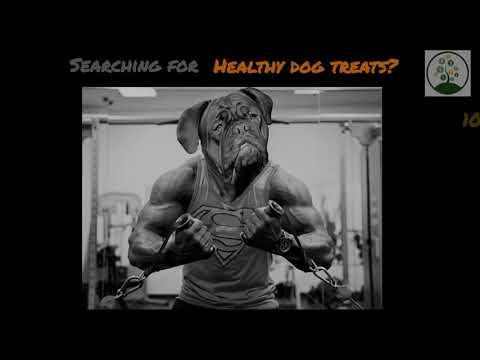 Healthy dog treats: All natural Lamb horns for dogs