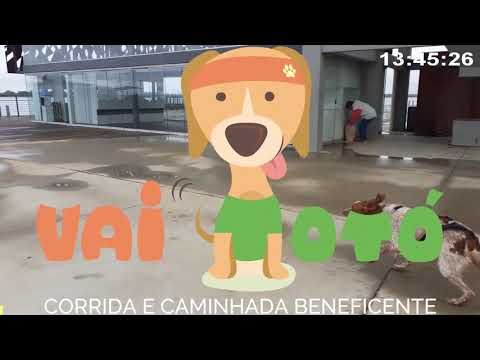 Circuito Vai Totó Corrida Com Cachorro em Casa etapa Pq Moacyr Scliar - Porto Alegre