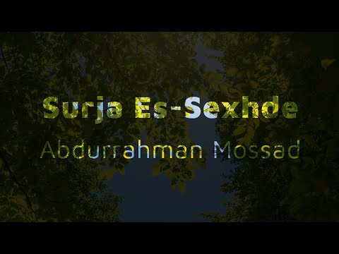 Recitim i mrekullueshëm i Kuranit | Qetëso zemrën me Kuran | Surja Es-Sexhde |  Abdul Rahman Mossad
