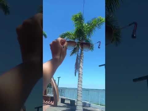 Conheça a praia de rio no Paraná,  📍Porto rico no Brasil #turismo #brasil #praia #travel