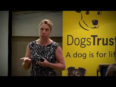 Titan Film & Events video.