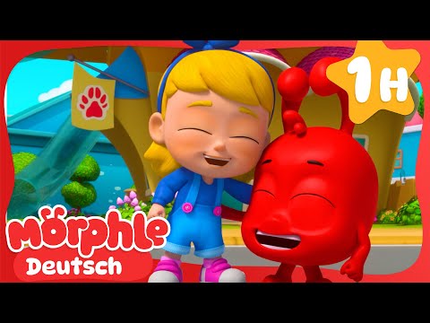 Wohin des Weges? | Morphle Deutsch | Zeichentrickfilm