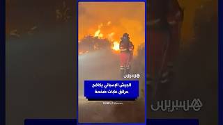 جنوب غرب وشرق البلاد.. الجيش الإسباني يكافح حرائق غابات ضخمة ويجلي المئات thumbnail