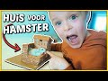ECHT HUiS VOOR HAMSTER BOUWEN ? | Bellinga Vlog #1690