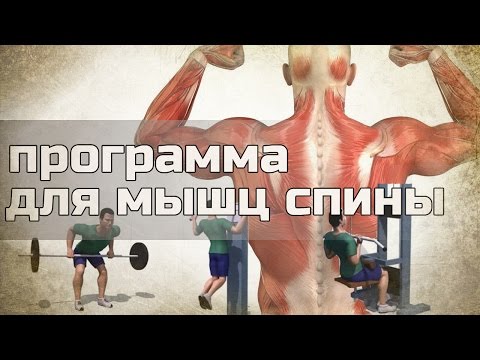 Беременность 4 неделя сильные боли в спине Банки от остеохондроза фото