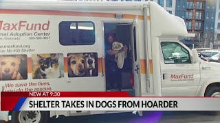 MaxFund shelter takes in 25 dogs from hoarding situation