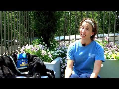 Meet Ansley the Medical Dog, who helps our rehab patients