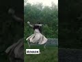 How To Beat Sadako The Ring Horror Scary Funny Comedy