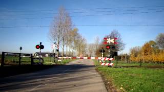 preview picture of video 'Spoorwegovergang Wadenoijen'
