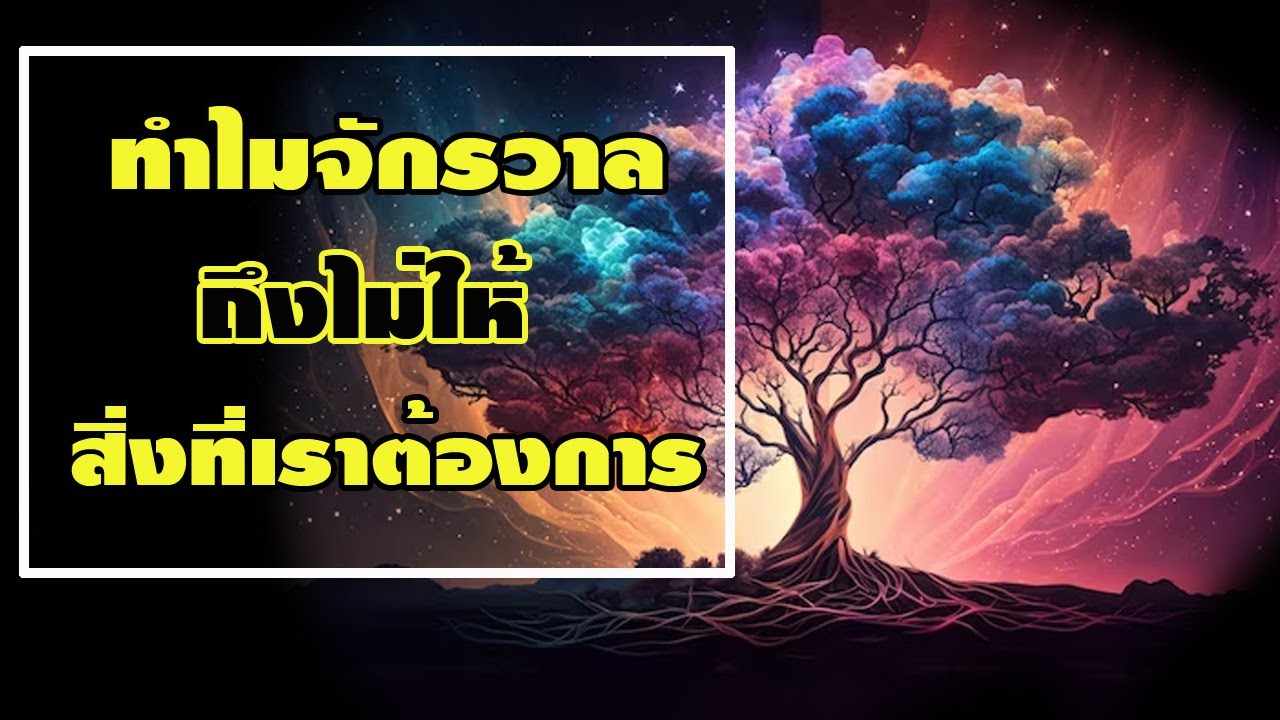 ทำไมจักรวาล ถึงไม่ให้ในสิ่งที่เราต้องการ