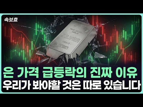 은가격 급락과 시장 개입의 교훈