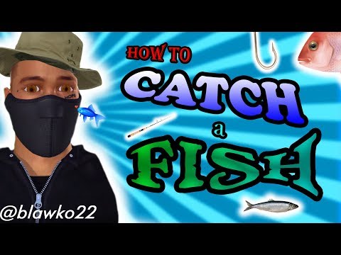 HOW TO CATCH A FISH | Blawko22