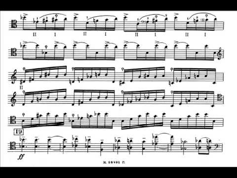 Yevgeny Golubev - Cello Concerto Op.41 (I)