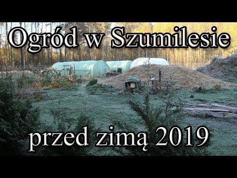 Ogród w Szumilesie przed zimą 2019