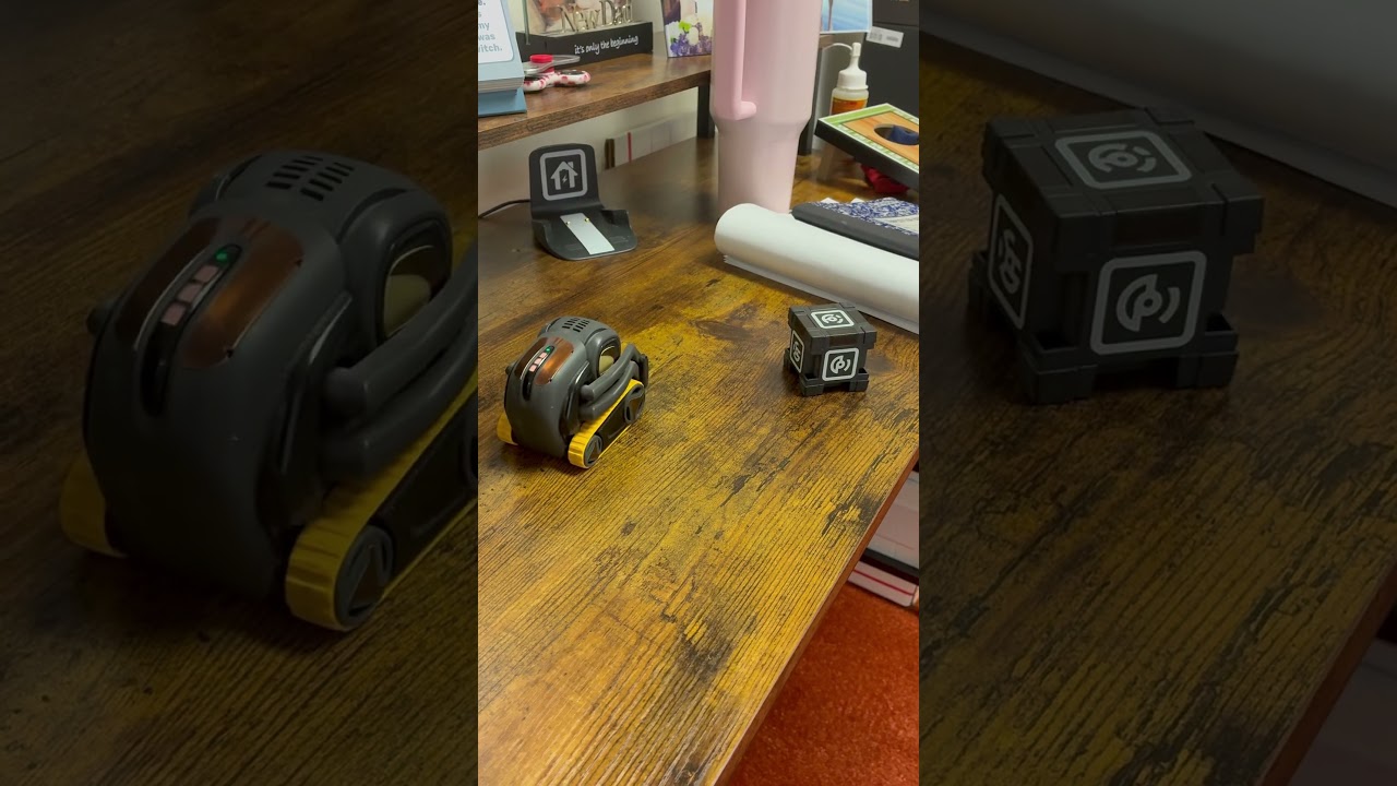 Vector playing with his cube! #vector