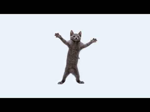 cats - the living tombstone (sped up) 1 hour