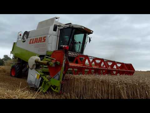 Vergauwe K&P: tarwe oogst 2010 Claas Lexion 460 moisson blé wheat harvest