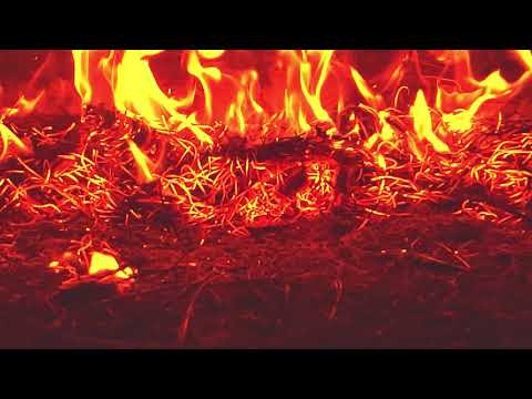 MaZéli part. Matheus Coringa - Fresta / Um filme por @cinemavicio