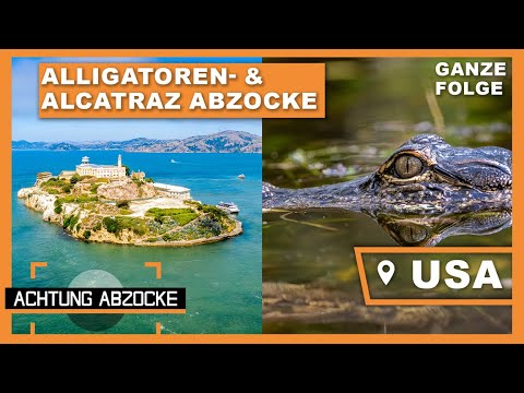 Everglades-Enttäuschung und Alcatraz-Abzocke! Vorsicht vor AMERIKANISCHEN Fallen! | Achtung Abzocke