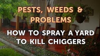 How to Spray a Yard to Kill Chiggers
