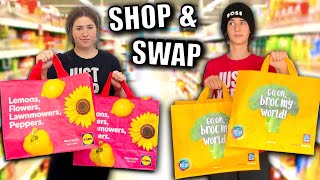 BROTHER & SISTER grocery SHOP & SWAP! Lidl budget shopping challenge