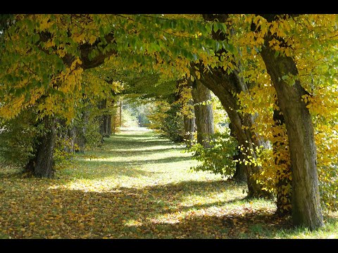 "Passage, " by Octavio Paz