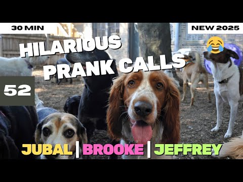 Dog Daycare Disaster Phone Tap Funny Prank Calls 2025 #052
