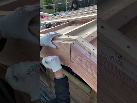 Would You Connect Wood Like This? #woodworking #diy #housedesign #construction