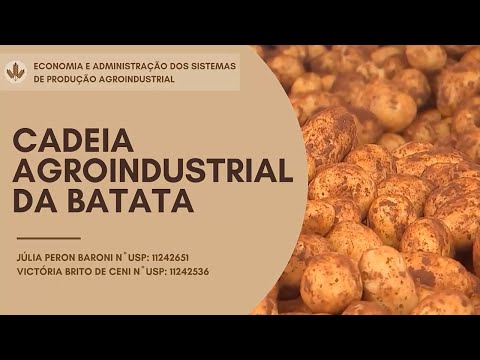 , title : 'Cadeia Agroindustrial da Batata - Grupo 17'