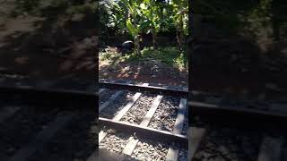 KUNDARA EAST KUNDARA RAILWAY STATIONS 😍😍😘