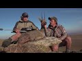 Vaal Reedbuck Hunt With Braeside Safaris