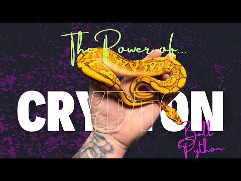 Crypton, unleash the power.....